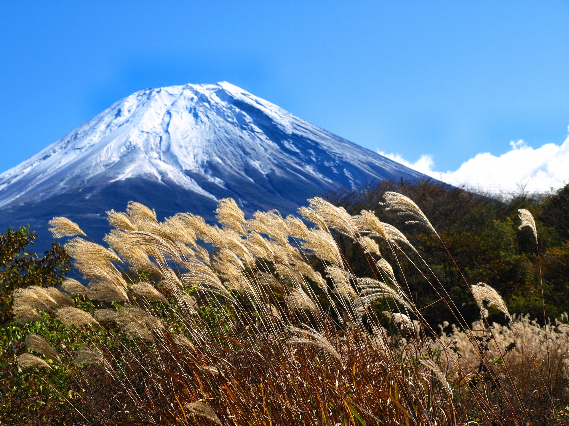 富士山の山頂の気圧はどのくらい？富士登山の心構えとは